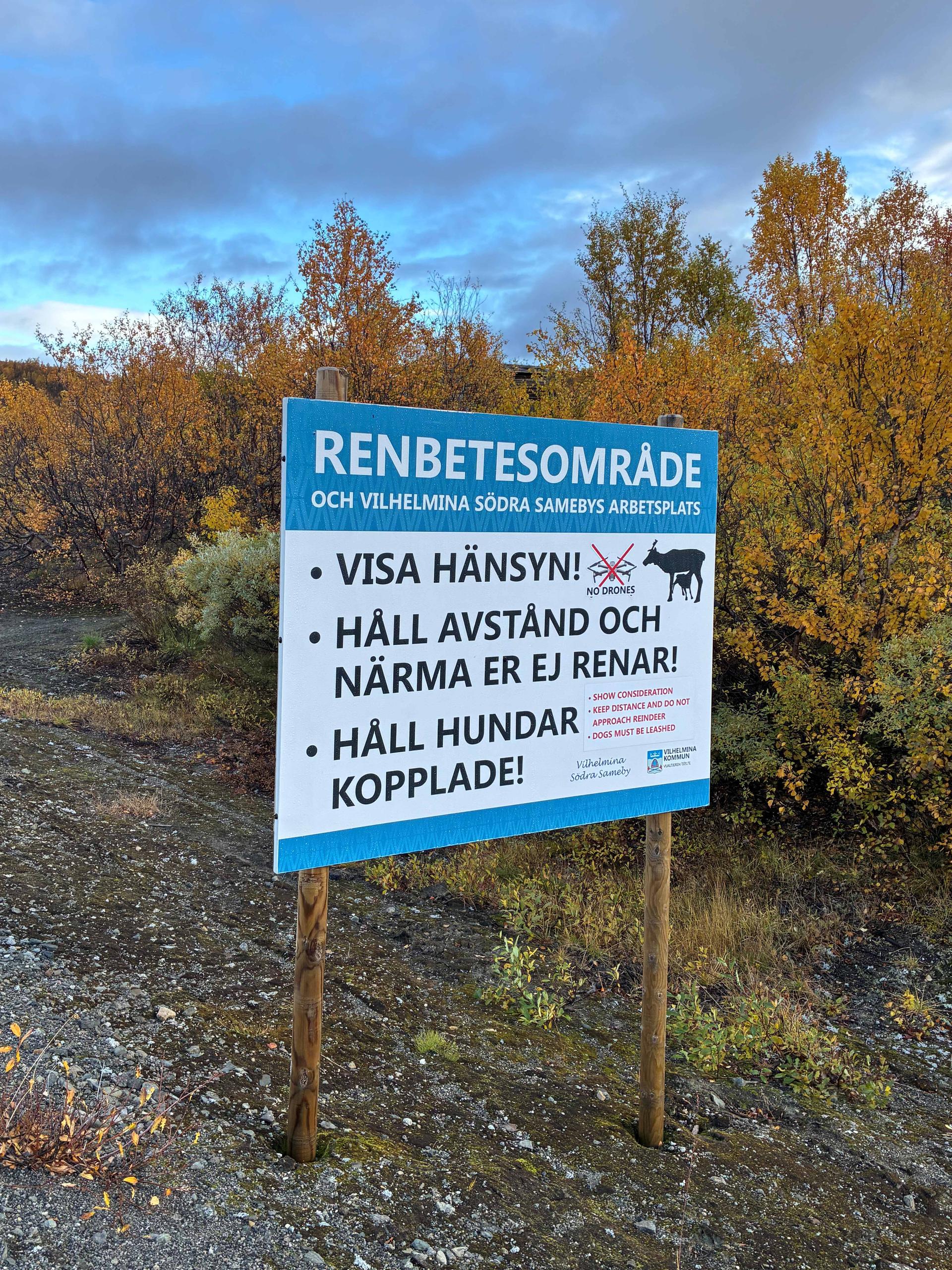 Renbetesområde